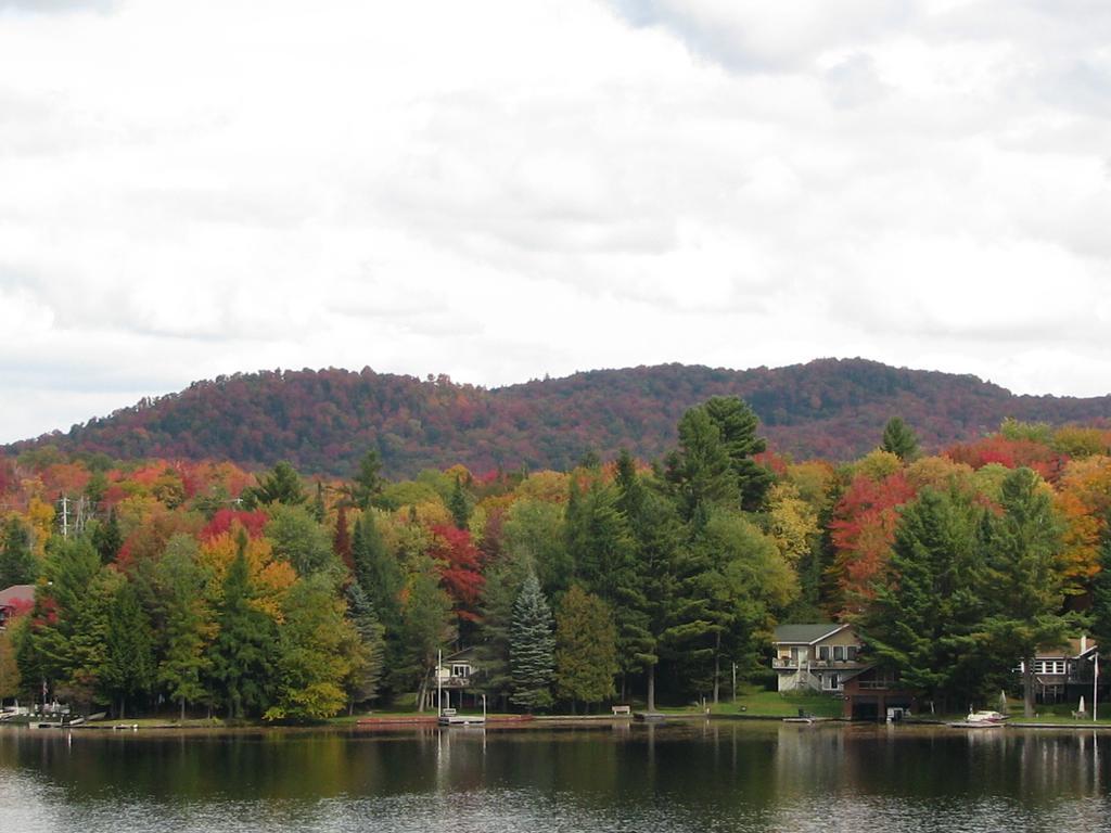 Pine Knoll Hotel Lakeside Lodge & Cabin 旧福奇 客房 照片